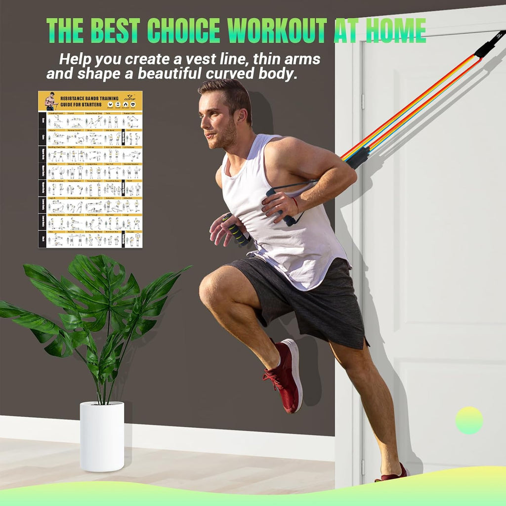 Resistance Bands Set with Handles, Exercise Bands Workout Bands Fitness Bands with Door Anchor, Legs Ankle Straps for Resistance Training，Physical Therapy，Home Gym Workout